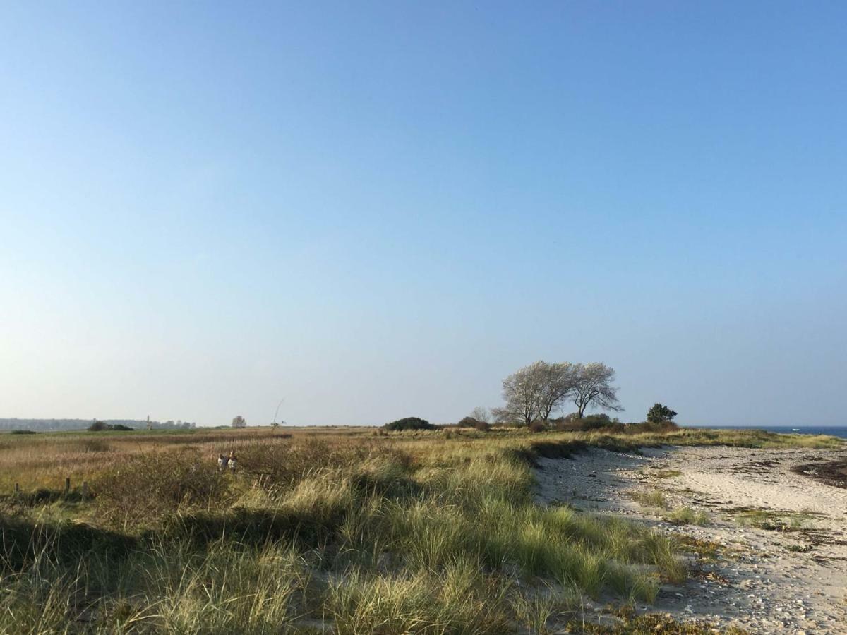 Seesucht-Hohwacht - 110Qm Fewo Mit Toller Lage Am Kiefernweg ภายนอก รูปภาพ